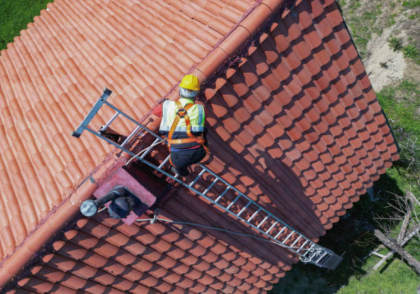 Best Roof Moss and Algae Removal  in Moriarty, NM